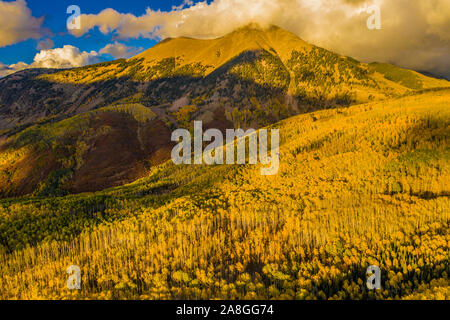 La couleur de l'automne dans les Montagnes La Sal, Utah, Montagnes, Manti-La Sal chêne Gambel et tremble La Sal Col Banque D'Images