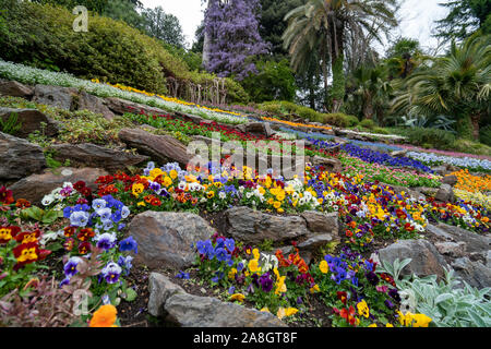 Beau jardin avec des fleurs à Tremezzo - lac de Côme en Italie Banque D'Images