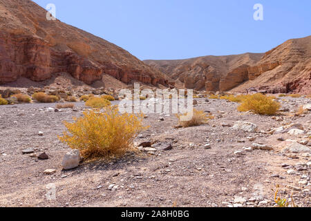 Vue sur la vallée et les montagnes colorées de Eilat Canyon rouge contre le bleu du ciel. Israël Banque D'Images