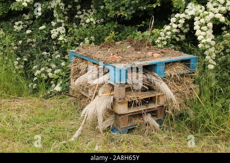 Un bug a fait à partir de palettes et de matériaux naturels. Banque D'Images