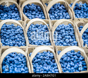 Beaucoup de bleuets dans des paniers sur le marché fermier Banque D'Images