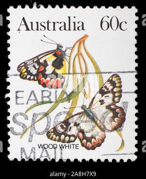 Timbres en Australie montre un papillon blanc en bois, vers 1981. Banque D'Images