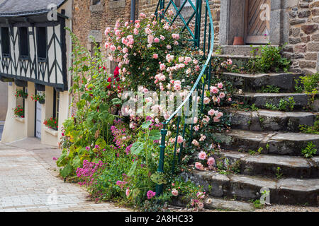 Roses et roses trémières n de plus en plus les étapes d'un chalet dans le village de La Trinité-Porhoët, Morbihan, Bretagne, France Banque D'Images