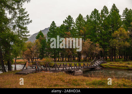 Ruiné vieux pont de bois sur la rivière dans la forêt par temps nuageux. Pont de bois lavé. Banque D'Images