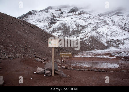 Condor Laguna Cocha à 5100 mètres à l'ouest de la route de la crête de 6263 mètres de haut, recouverte de glace volcan Chimborazo en Équateur. Banque D'Images