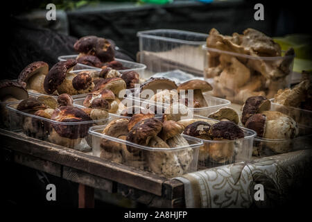 Boletus edulis mushrooms sur un étal Banque D'Images