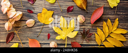 Les feuilles jaunes et rouges sur fond de bois brun. Composition de saison, l'automne, l'action de grâce, le concept d'herbier. immersive, modèle, frais généraux Banque D'Images