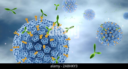 3D illustration montrant l'attaque des anticorps contre le Virus du Papillome Humain, HPV. Banque D'Images