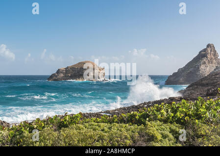 Guadeloupe, panorama de la pointe des Chateaux, beau paysage marin de l'île Banque D'Images