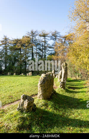 'Les hommes du roi" (le cercle de pierres de Rollright Stones), près de Long Compton, Oxfordshire, Angleterre, Royaume-Uni Banque D'Images