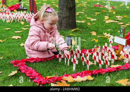 09 novembre 2019, Glasgow, Ecosse, Royaume-Uni. GRACE EVERETT (de 3) à partir de Glasgow s'occupe de la Légion Britannique Jardin du souvenir à George Square, Glasgow à quitter coquelicots sur petite croix en bois en souvenir de son arrière-grand-père 'CHARLES EVERETT' qui a servi dans la RAF, son grand-père ROBERT 'pierre' qui a servi avec les Royal Engineers et le Camerounais et son oncle Alex 'pierre' qui a servi avec le Royal Highland Fusiliers. Findlay crédit/ Alamy News Banque D'Images