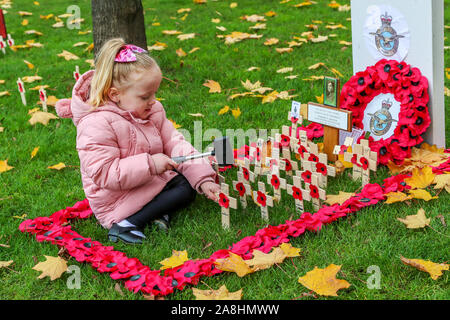 09 novembre 2019, Glasgow, Ecosse, Royaume-Uni. GRACE EVERETT (de 3) à partir de Glasgow s'occupe de la Légion Britannique Jardin du souvenir à George Square, Glasgow à quitter coquelicots sur petite croix en bois en souvenir de son arrière-grand-père 'CHARLES EVERETT' qui a servi dans la RAF, son grand-père ROBERT 'pierre' qui a servi avec les Royal Engineers et le Camerounais et son oncle Alex 'pierre' qui a servi avec le Royal Highland Fusiliers. Findlay crédit/ Alamy News Banque D'Images