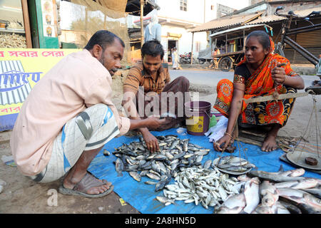 Marché de poisson de Kumrokhali, West Bengal, India Banque D'Images