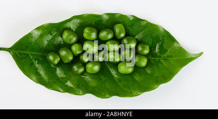 Groupe d'haricots verts sur le café leaf isolated Banque D'Images