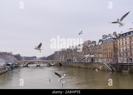 Paris sous la neige et les inondations, quais inondés, arbres sous l'eau, Seine en hiver Banque D'Images