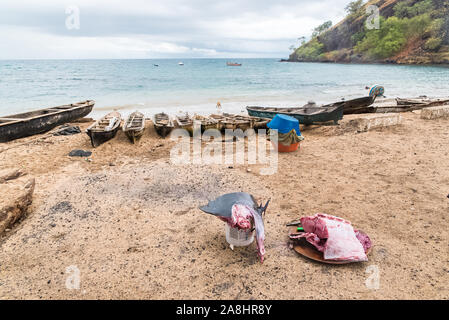 Sao Tomé, dugouts traditionnels en bois sur la plage dans un village de pêcheurs, avec un espadon fraîchement pêché Banque D'Images