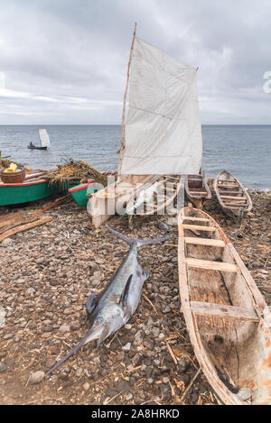 Sao Tomé, dugouts traditionnels en bois sur la plage dans un village de pêcheurs, avec un espadon fraîchement pêché Banque D'Images