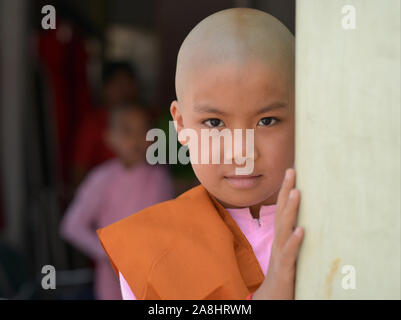 Cute little girl nonne bouddhiste birman (thilashin) avec tête tondue pose pour la caméra. Banque D'Images