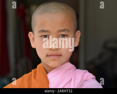 Jeune fille nonne bouddhiste birman (thilashin) pose pour la caméra. Banque D'Images