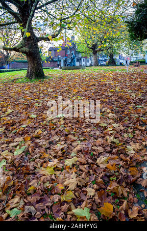 L33/UK - 7 novembre : Londres avion quitte conduisant à l'McIndoe Memorial East Grinstead West Sussex le 7 novembre 2019 Banque D'Images
