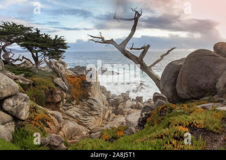 Vues spectaculaire littoral comme vu à partir de la célèbre 17 Mile Drive près de plage de galets et de Pacific Grove. Banque D'Images