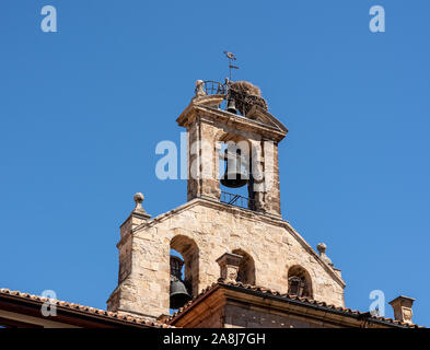 Nid de cigogne sur le clocher de l'église St Martin à Salamanque Banque D'Images