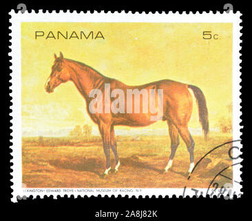 Timbre-poste imprimé par le Panama, qui montre la peinture du cheval, vers 1968. Banque D'Images