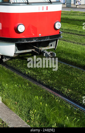 Les lecteurs de tramway sur rails en fer grâce à l'herbe verte Banque D'Images
