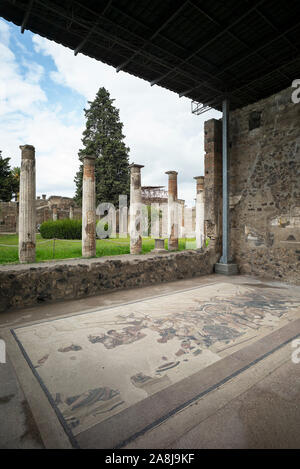 Pompéi. L'Italie. Site archéologique de Pompéi. Casa del Fauno / Maison du Faune. Vestiges d'un marbre mosaïque représentant Alexandre le Grand auxquels Banque D'Images
