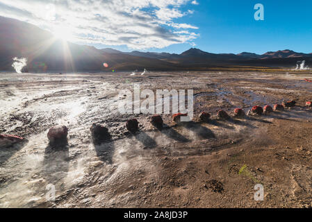 Geyser del Tatio, désert d'Atacama, Chili Banque D'Images