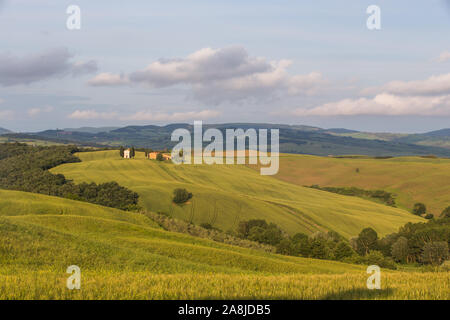 Coucher du soleil dans des paysages de prairies vert avec chapelle Vitaleta et collines en Toscane Banque D'Images