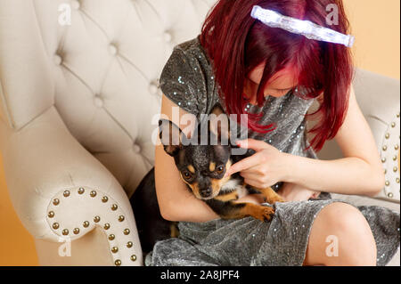 Beauty woman en studio. chihuahua. Nouvelle année session de photo d'une petite fille et un chien. Les cheveux rouges à l'adolescent. Black mini chihuahua. Ch Banque D'Images