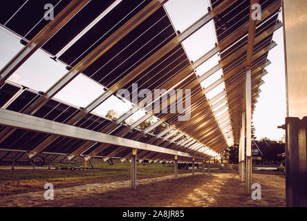 Bas haut retour Vue de côté à deux faces des panneaux solaires sur le terrain, la construction de nouvelles usines de fabrication de l'électricité solaire 2019 sur terrain en nature, dans le Nord de l'Europe. B Banque D'Images