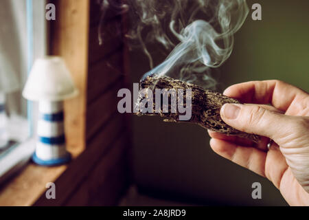 Woman hand holding herb paquet de sauge séchée smudge stick de fumer. On pense à nettoyer l'énergie négative et purifier les espaces de vie à la maison dans les chambres Banque D'Images