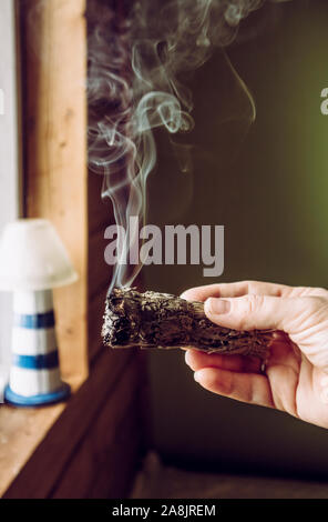 Woman hand holding herb paquet de sauge séchée smudge stick de fumer. On pense à nettoyer l'énergie négative et purifier les espaces de vie à la maison dans les chambres Banque D'Images