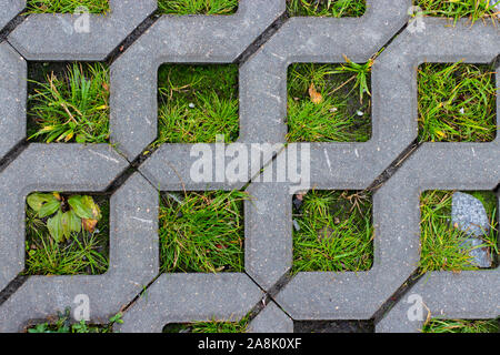 La texture, la cellule de béton parking pour voitures écologiques. Parking extérieur revêtement de sol, l'herbe fait son chemin à travers le ciment des losanges de parking éco Banque D'Images