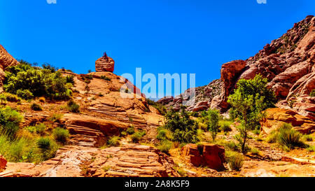 Promeneur assis sur un rocher à Trail dans le Red Rock Canyon National Conservation Area près de Las Vegas, Nevada, United States Banque D'Images