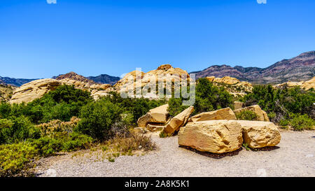 Des rochers de grès jaune géant à la carrière de grès Trail dans le Red Rock Canyon National Conservation Area près de Las Vegas, Nevada, United States Banque D'Images