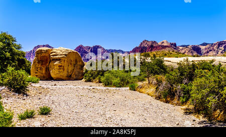 Des rochers de grès jaune géant à la carrière de grès Trail dans le Red Rock Canyon National Conservation Area près de Las Vegas, Nevada, United States Banque D'Images