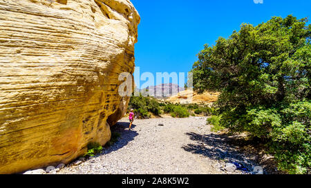 Senior woman standing par un rocher de grès jaune géant à la carrière de grès Trail dans le Red Rock Canyon National Conservation Area près de Las Vegas, NV Banque D'Images