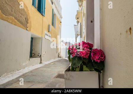 Ruelles traditionnelles à la Chora d'Andros sur une belle journée Banque D'Images