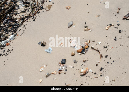Les débris et les coquillages lavés de l'océan sur la plage de sable au Mississippi. L'effet de flou. Banque D'Images