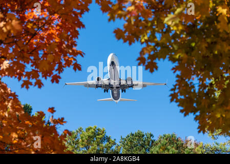 Delta Air Lines Boeing 737-900 (jet) frais généraux, vu à travers des feuilles d'automne sur l'avion à l'approche de l'Aéroport International d'Atlanta. (USA) Banque D'Images