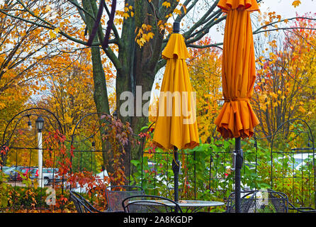 Couleurs d'automne sur une rue intérieur à Burlington, Vermont, USA. Coin pittoresque de la ville par jour nuageux à l'automne. Banque D'Images