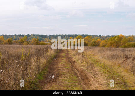 Automne route mouillée dans le domaine russe menant dans les bois. Les derniers jours de l'été. Espace ouvert avec la belle nature Banque D'Images