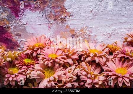 Abricot rose chrysanthèmes sur un pittoresque arrière-plan. Photo de fleurs d'automne . Banque D'Images
