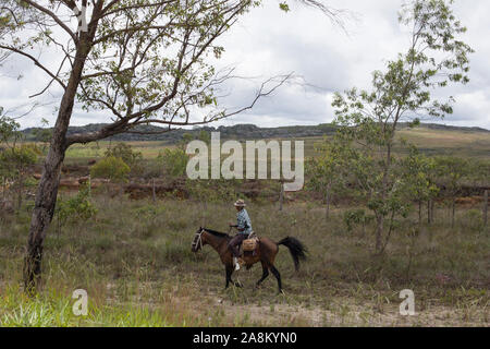 Diamantina, Minas Gerais, Brésil - 27 janvier 2016 : Brazilian cowboy à cheval dans l'arrière-pays de la région de Diamantina Banque D'Images