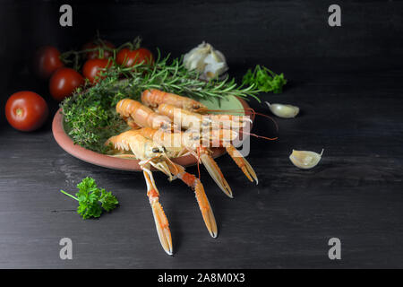 Langoustines fraîches, également appelé la Langoustine Langoustine ou sur une plaque, les tomates, l'ail et fines herbes sur un fond de bois rustique, les ingrédients pour un festi Banque D'Images