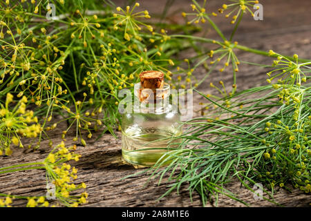 Une bouteille d'huile de graines d'aneth Anethum graveolens en fleurs fraîches avec plante Banque D'Images