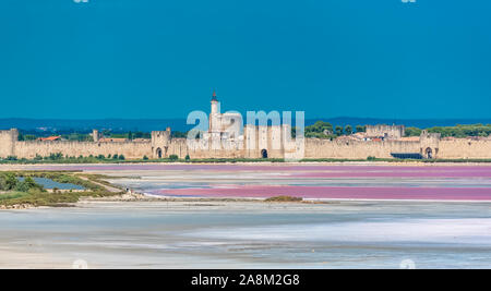 Salins du Midi, Aigues-Mortes, panorama avec les marais salés Banque D'Images